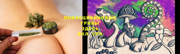 ГАЛЛЮЦИНОГЕННЫЕ ГРИБЫ Майский
