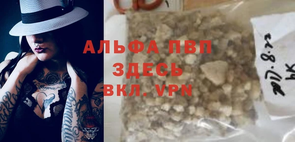 твердый Магас