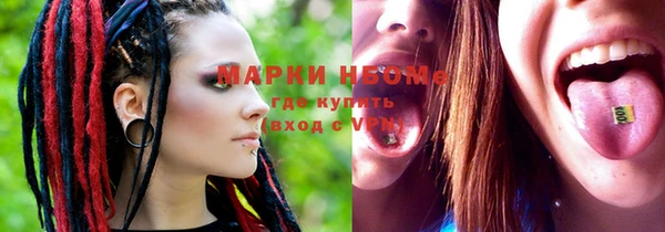 твердый Магас