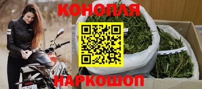 индика Аргун