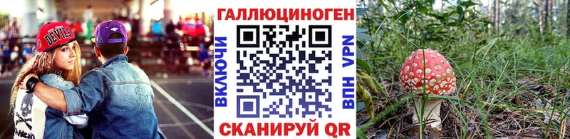 Купить закладки  Михайловск  Галлюциногенные грибы прущие грибы 