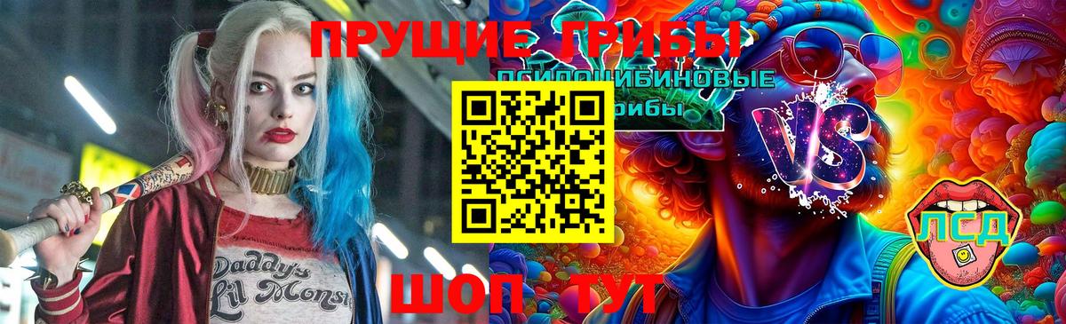 Михайловск  Псилоцибиновые грибы MAGIC MUSHROOMS  Вход с VPN 