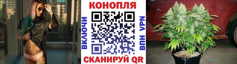 Марихуана OG Kush  Купить  Михайловск 
